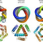 New Advances in De Novo Protein Design Open the Door to the Engineering of Knotted Proteins with Unique Properties