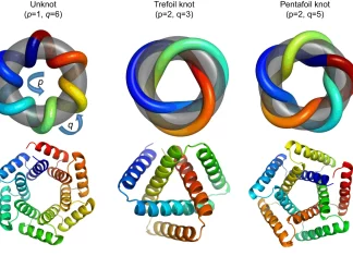 New Advances in De Novo Protein Design Open the Door to the Engineering of Knotted Proteins with Unique Properties New Advances in De Novo Protein Design Open the Door to the Engineering of Knotted Proteins with Unique Properties