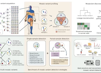 Mosaic Variant Calling: Benchmarking Approaches and Unveiling Best Practices Mosaic Variant Calling: Benchmarking Approaches and Unveiling Best Practices