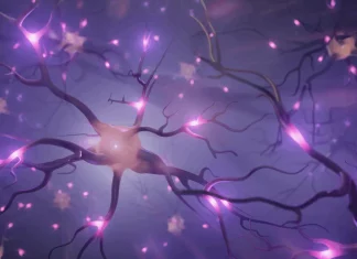 Researchers Develop Neural Network for Genomics that can Explain its Prediction Accuracy Researchers Develop Neural Network for Genomics that can Explain its Prediction Accuracy