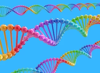 A New Deep Neural Networks-Based Method Predicts Protein Abundance Based on Amino Acid Sequence A New Deep Neural Networks Based Method Predicts Protein Abundance Based on Amino Acid Sequence