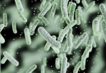 Meta-analysis of 13000 Salmonella Typhi Genomes Unravels Global Diversity and Drug Resistance of Typhoid Fever Pathogens Meta-analysis of 13,000 Salmonella Typhi Genomes Unravels Global Diversity and Drug Resistance of Typhoid Fever Pathogens