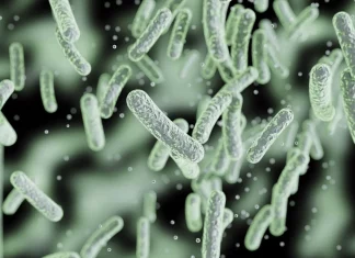 Meta-analysis of 13000 Salmonella Typhi Genomes Unravels Global Diversity and Drug Resistance of Typhoid Fever Pathogens Meta-analysis of 13,000 Salmonella Typhi Genomes Unravels Global Diversity and Drug Resistance of Typhoid Fever Pathogens