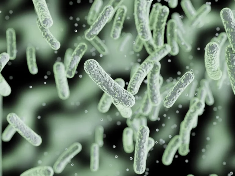 Meta-analysis of 13,000 Salmonella Typhi Genomes Unravels Global Diversity and Drug Resistance of Typhoid Fever Pathogens