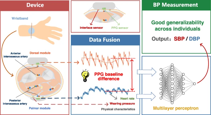 Advancing Continuous Blood Pressure Monitoring: Accurate Measurements with  Multichannel Sensing Signals in Wearable Devices - CBIRT