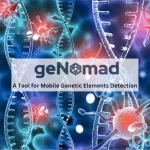Meet geNomad: A Cutting-Edge Tool for Mobile Genetic Elements Detection