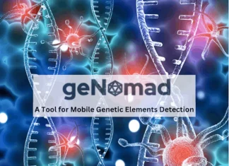 Meet geNomad: A Cutting-Edge Tool for Mobile Genetic Elements Detection Meet geNomad: A Cutting-Edge Tool for Mobile Genetic Elements Detection