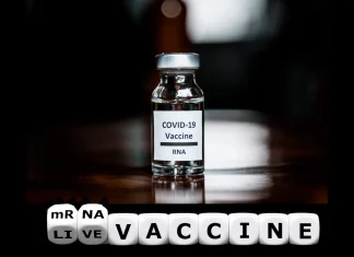 The Rise of mRNA Vaccines: A Game-Changer for Public Health? The Rise of mRNA Vaccines: A Game-Changer for Public Health?