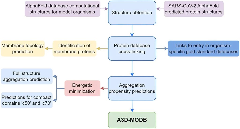 Meet A3D-MODB: A New Database for Predicting Protein Aggregation in Model Organisms