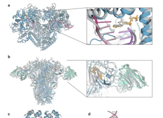The AlphaFold Revolution Continues: Unraveling the Next-Gen Advancements The AlphaFold Revolution Continues: Unraveling the Next-Gen Advancements