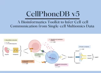 Unravel Cell-cell Communication with CellPhoneDB v5: A Cutting-edge Single-cell Multiomics Toolkit Unravel Cell-cell Communication with CellPhoneDB v5: A Cutting-edge Single-cell Multiomics Toolkit