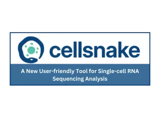 Cellsnake: A New Tool Makes Single-cell RNA Sequencing Analysis Easier Than Ever Cellsnake: A New Tool Makes Single-cell RNA Sequencing Analysis Easier Than Ever