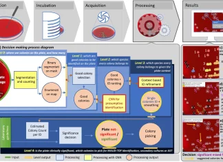 Deep Learning Meets Clinical Microbiology: Unveiling DeepColony for Automated Culture Plates Interpretation Deep Learning Meets Clinical Microbiology: Unveiling DeepColony for Automated Culture Plate Interpretation