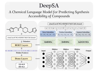 DeepSA: A Cutting-edge Chemical Language Model for Compound Synthesis Accessibility Prediction DeepSA: A Cutting-edge Chemical Language Model for Compound Synthesis Accessibility Prediction