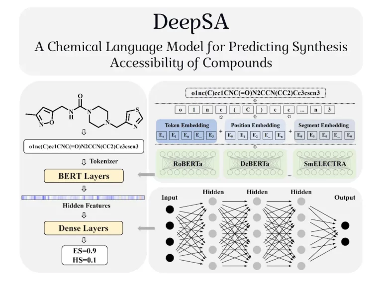 DeepSA: A Cutting-edge Chemical Language Model for Compound Synthesis Accessibility Prediction