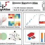 Illuminating the Molecular Landscape of Disease with DiSignAtlas