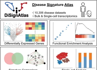 Illuminating the Molecular Landscape of Disease with DiSignAtlas Illuminating the Molecular Landscape of Disease with DiSignAtlas