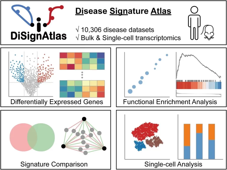 Illuminating the Molecular Landscape of Disease with DiSignAtlas