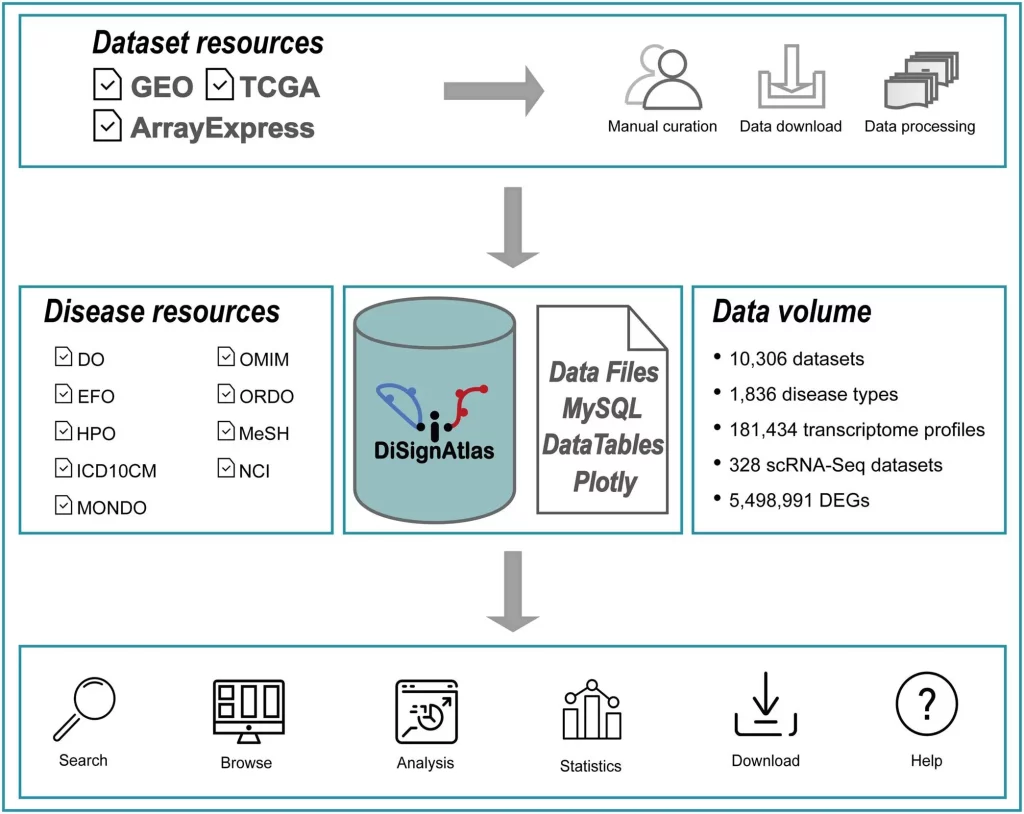 DiSignAtlas Workflow