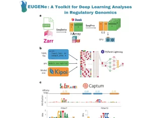 UCSD’s EUGENe: A New Deep Learning Toolkit to Decode the Regulatory Genome EUGENe: A New Deep Learning Toolkit to Decode the Regulatory Genome