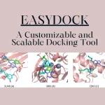 EasyDock: A Scalable and User-friendly Tool for High-Throughput Molecular Docking