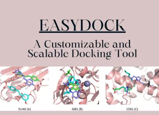 EasyDock: A Scalable and User-friendly Tool for High-throughput Molecular Docking EasyDock: A Scalable and User-friendly Tool for High-Throughput Molecular Docking