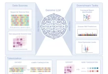 Genome LLMs: Revolutionizing Genomics with Transformer-based Large Language Models A big picture look at the power of Genome LLMs.