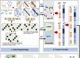 Meet MiRGraph: A Novel Deep Learning Algorithm to Predict miRNA-target Interactions MiRGraph: A novel algorithm based on deep learning methods to predict miRNA-target interactions