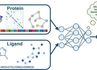 Decoding the Protein-Ligand Enigma: A Deep Dive into Deep Learning Approaches for Binding Affinity Prediction Decoding the Protein-Ligand Enigma: A Deep Dive into Deep Learning Approaches for Binding Affinity Prediction