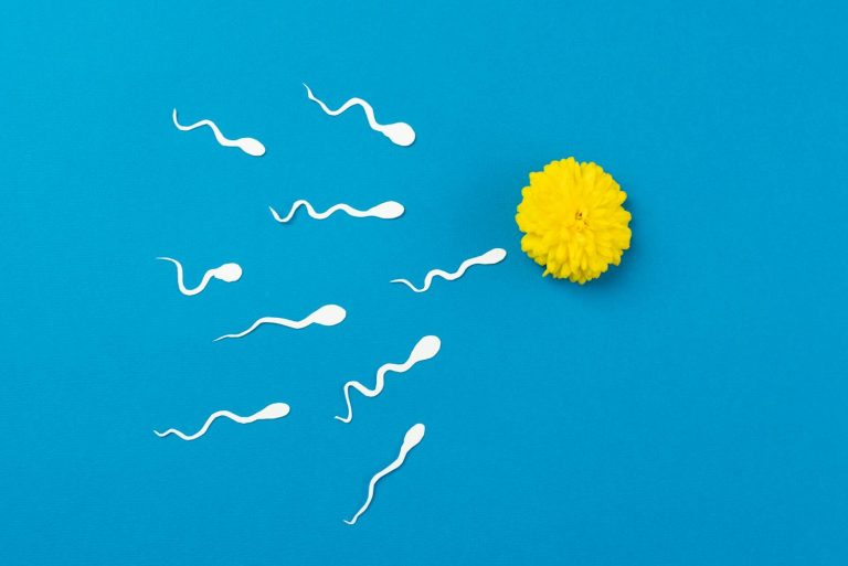 The Tail that Wiggles: A Reaction-Diffusion Model Unveils the Mechanism Behind Sperm Tail Movement