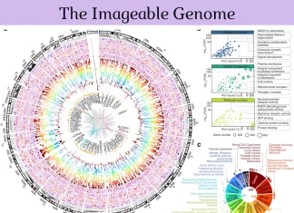 Unlocking the Secrets of Disease: The Imageable Genome and the Future of Molecular Medicine The Imageable Genome