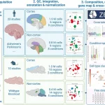 Navigating the Complex Transcriptomic Landscape of Neurodegeneration with ZEBRA