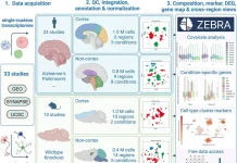 Navigating the Complex Transcriptomic Landscape of Neurodegeneration with ZEBRA Navigating the Complex Transcriptomic Landscape of Neurodegeneration with ZEBRA