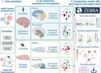 Navigating the Complex Transcriptomic Landscape of Neurodegeneration with ZEBRA Navigating the Complex Transcriptomic Landscape of Neurodegeneration with ZEBRA