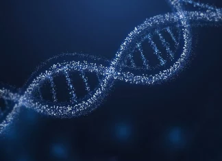 Demystifying the Genetic Architecture of Proteins through Experimental Models Demystifying the Genetic Architecture of Proteins through Massive Experimental Exploration