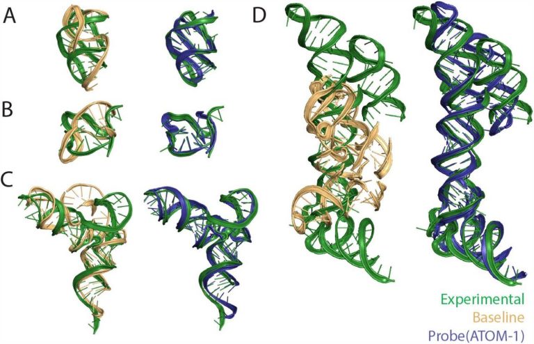Atomic AI's ATOM-1: Leveraging Chemical Mapping Data to Optimize RNA Therapeutics