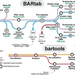 BARtab and Bartools: Revolutionizing Cellular Barcoding Analysis in Genomics Research