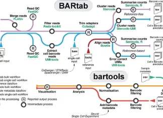 BARtab and Bartools: Revolutionizing Cellular Barcoding Analysis in Genomics Research BARtab and Bartools: Revolutionizing Cellular Barcoding Analysis in Genomics Research