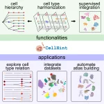 CellHint Revolutionizes Human Cell Atlas: Automatic Cell Type Harmonization Paves the Way for New Discoveries