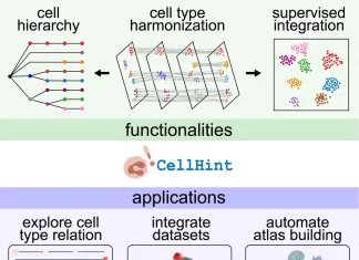 CellHint Revolutionizes Human Cell Atlas: Automatic Cell Type Harmonization Paves the Way for New Discoveries CellHint Revolutionizes Human Cell Atlas: Automatic Cell Type Harmonization Paves the Way for New Discoveries