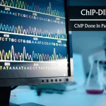 ChIP-DIP Multiplexing Method Maps Hundreds of Proteins to DNA Decoding Gene Expression Regulation