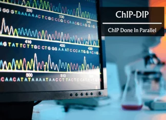 ChIP-DIP Multiplexing Method Maps Hundreds of Proteins to DNA Decoding Gene Expression Regulation ChIP-DIP Multiplexing Method Maps Hundreds of Proteins to DNA Decoding Gene Expression Regulation