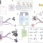 Designing Drug-Like Molecules with DrugHIVE: A Deep Hierarchical Variational Autoencoder for the Structure-Based Design