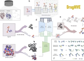 Designing Drug-like Molecules with DrugHIVE: A Deep Hierarchical Variational Autoencoder for the Structure-based Design Designing Drug-Like Molecules with DrugHIVE: A Deep Hierarchical Variational Autoencoder for the Structure-Based Design