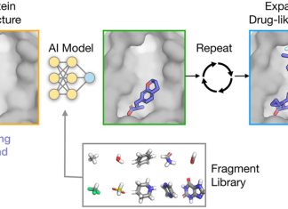 Transforming Fragment-based Drug Design: Stanford’s FRAME Employs Machine Learning to Expand Fragments into Ideal Ligands Transforming Fragment-Based Drug Design: Stanford's FRAME Employs Machine Learning to Expand Fragments into Ideal Ligands