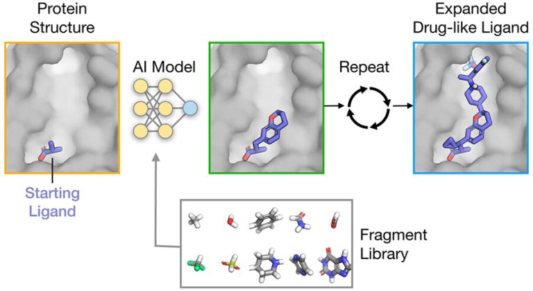 Transforming Fragment-Based Drug Design: Stanford's FRAME Employs Machine Learning to Expand Fragments into Ideal Ligands