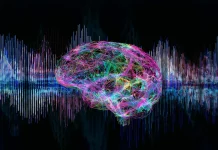 The Rising Potential of Deep Neural Networks in Mimicking Brain Responses to Auditory Stimuli The Rising Potential of Deep Neural Networks in Mimicking Human Hearing