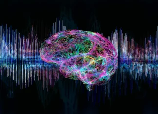 The Rising Potential of Deep Neural Networks in Mimicking Brain Responses to Auditory Stimuli The Rising Potential of Deep Neural Networks in Mimicking Human Hearing