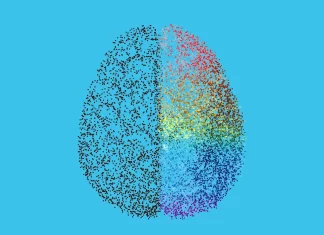Unlocking the Mysteries of the Mammalian Brain: A Comprehensive Atlas Reveals Surprising Cellular Diversity Unlocking the Mysteries of the Mammalian Brain: A Comprehensive Atlas Reveals Surprising Cellular Diversity