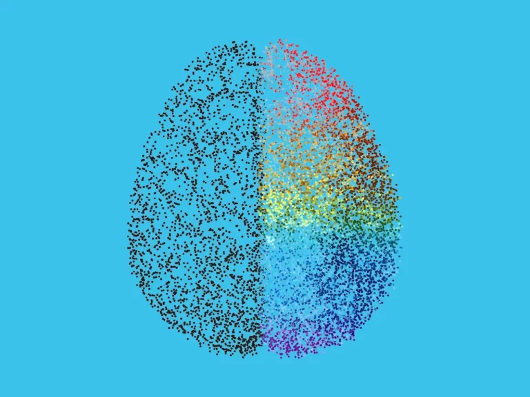 Unlocking the Mysteries of the Mammalian Brain: A Comprehensive Atlas Reveals Surprising Cellular Diversity